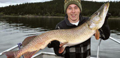 Walleye Fishing Lake Kabetogama