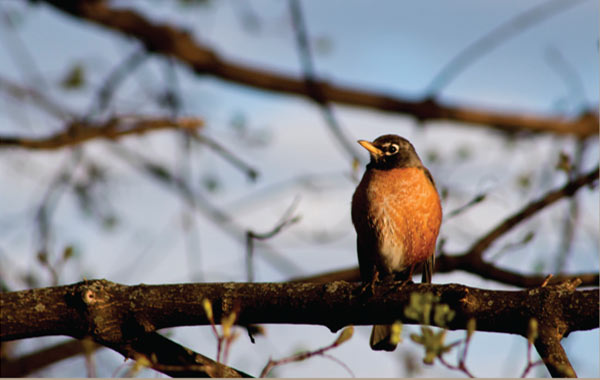 Minnesota Family Resort
