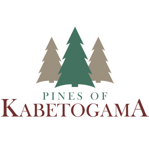 kabetogama cabin rentals
