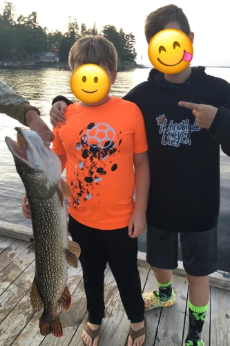 Walleye Fishing Lake Kabetogama