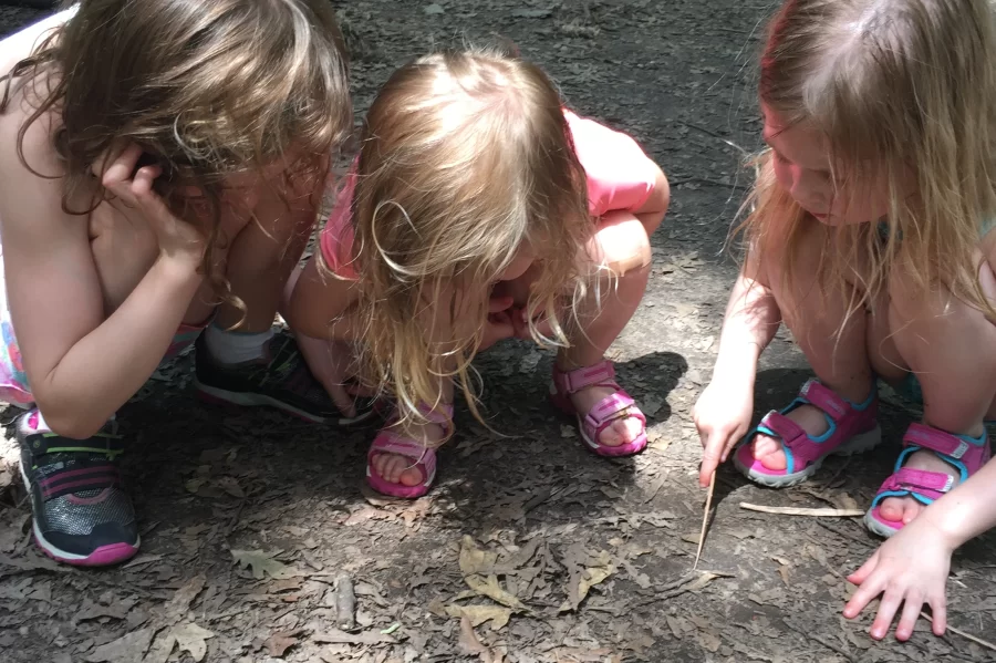 Voyageurs National Park Resort History