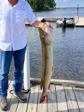 lake kabetogama fishing hot spots